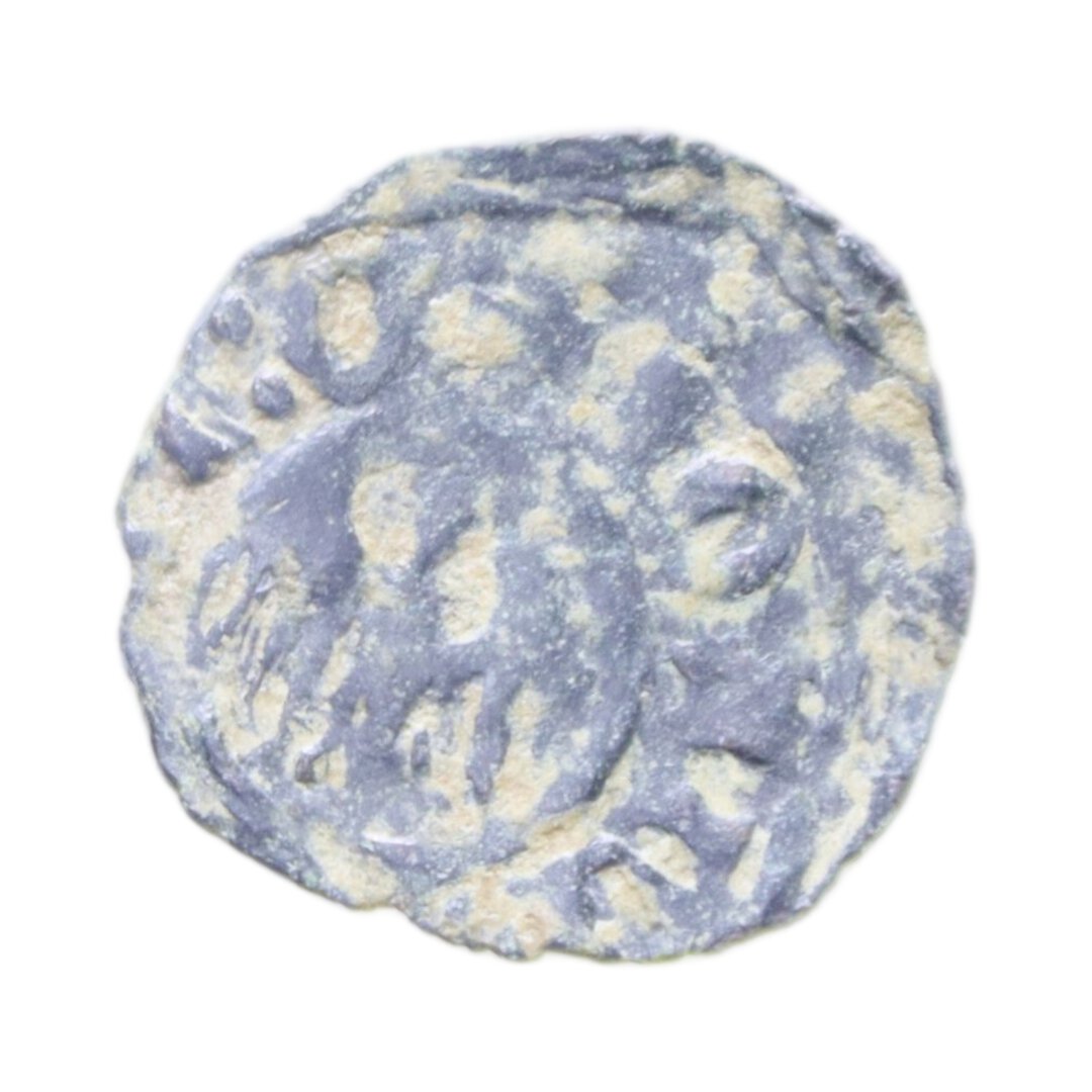 Dritto moneta