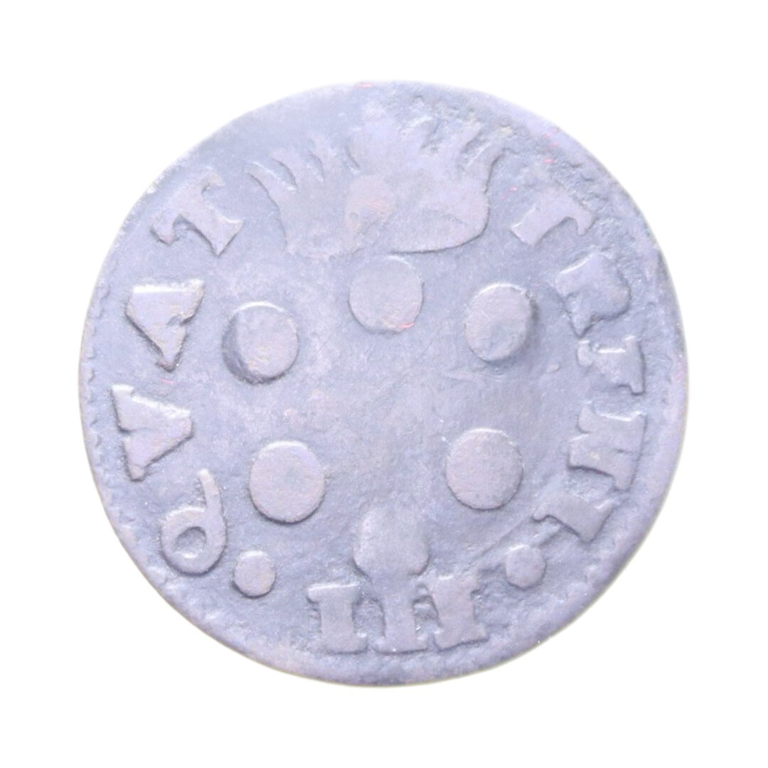 Dritto moneta