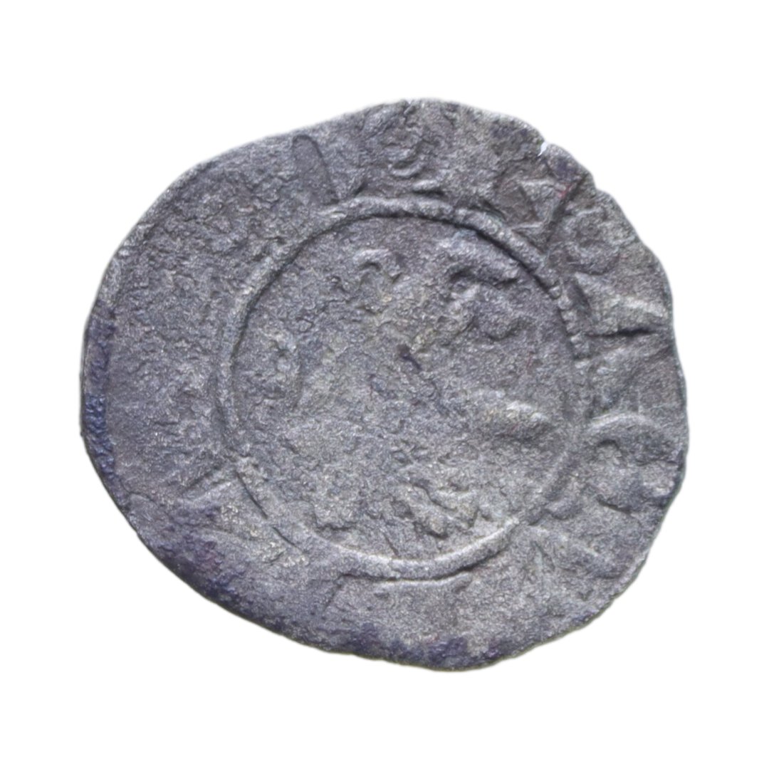 Dritto moneta