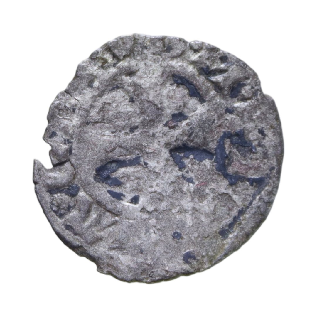 Dritto moneta