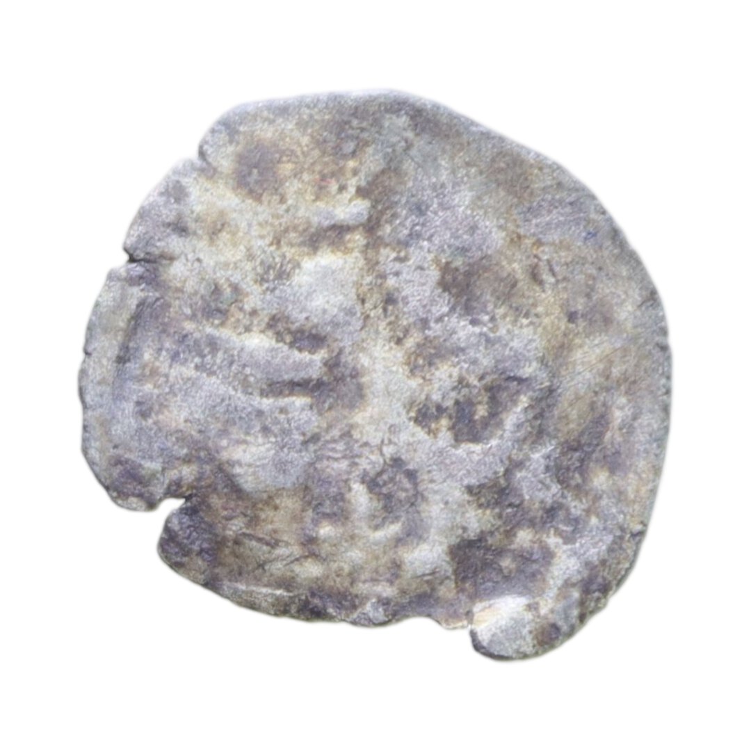 Dritto moneta