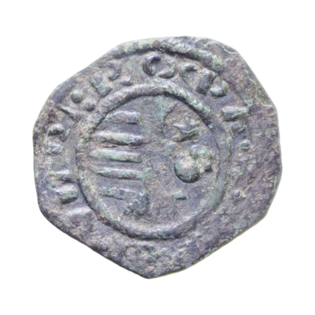 Dritto moneta
