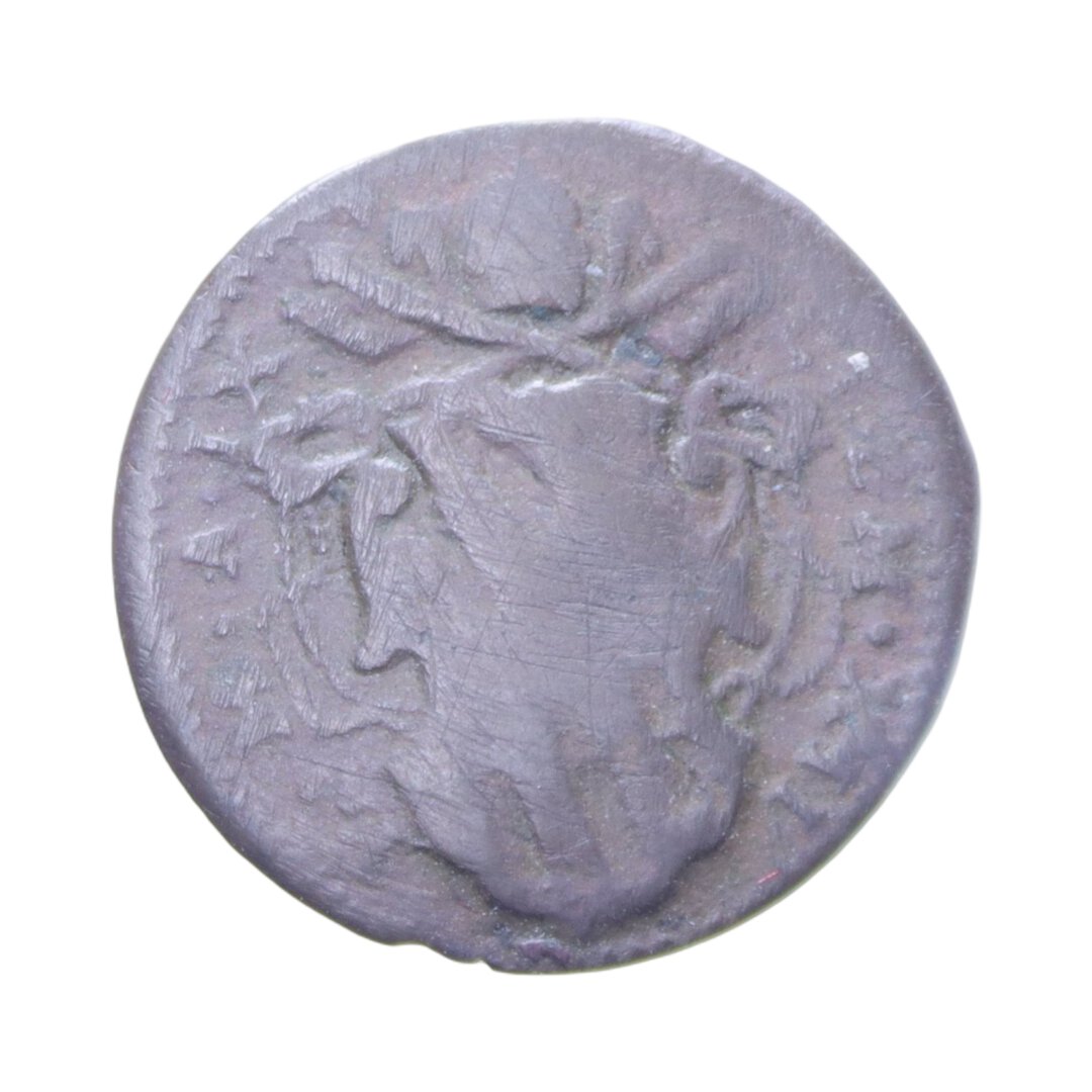 Dritto moneta