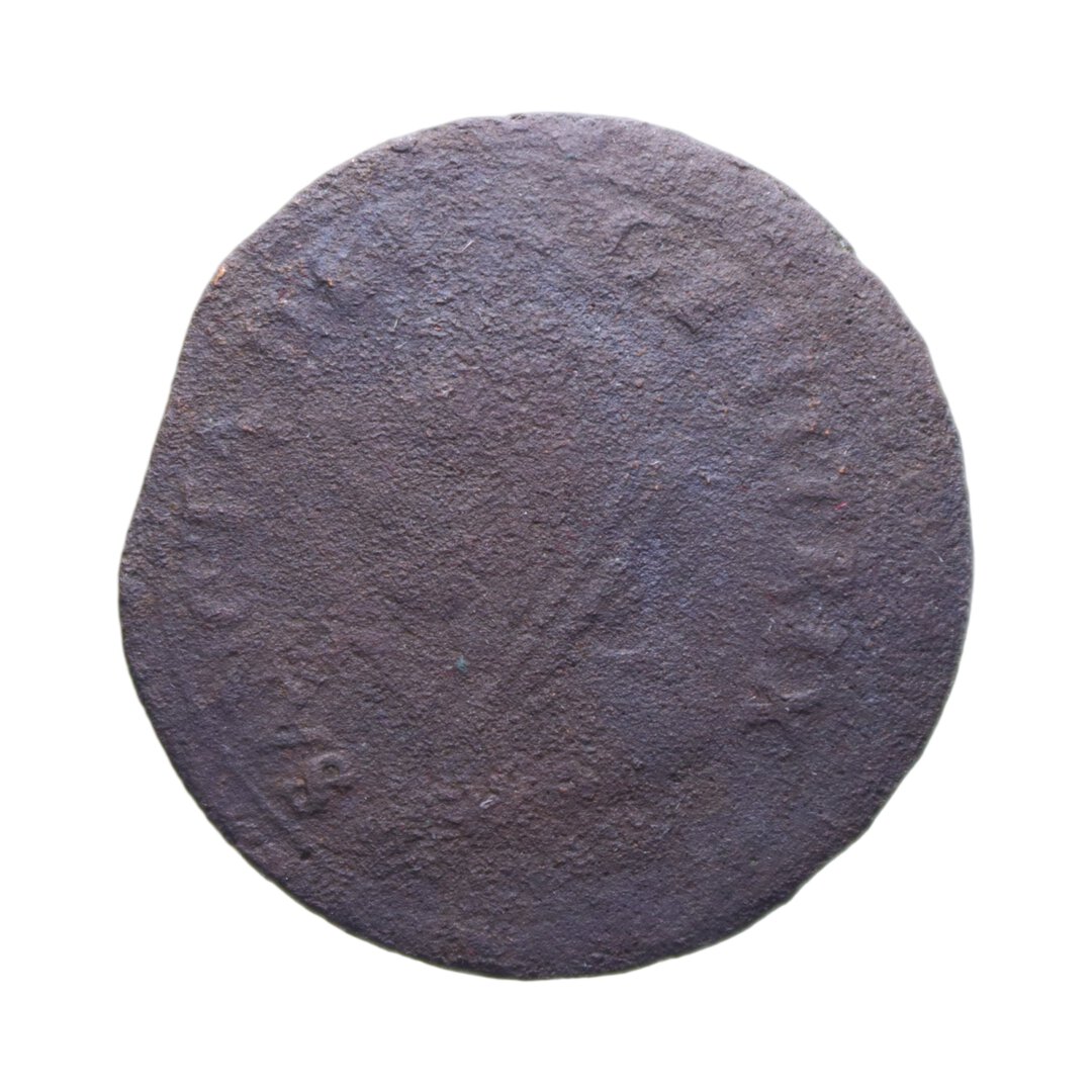 Dritto moneta