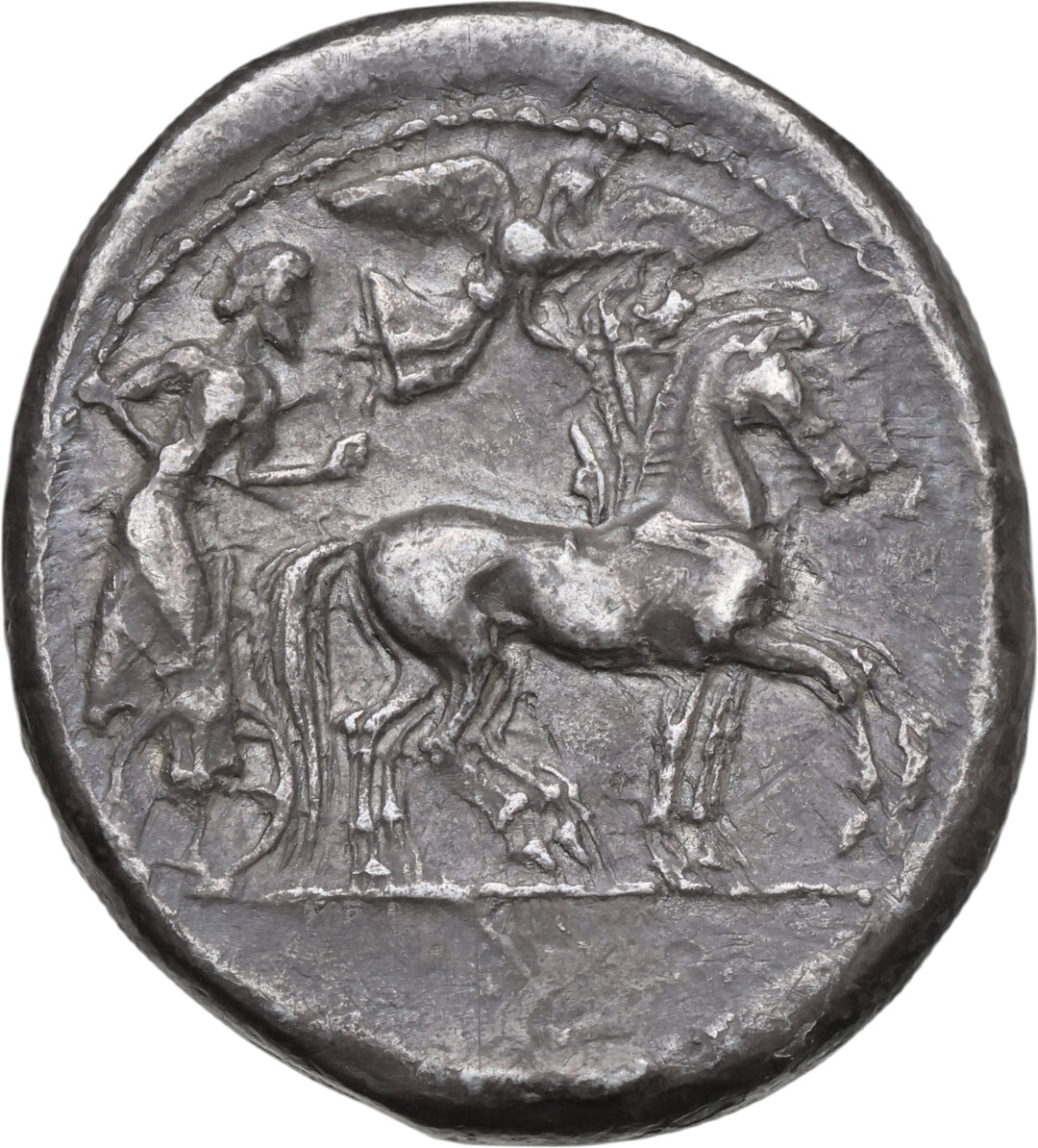 Dritto moneta