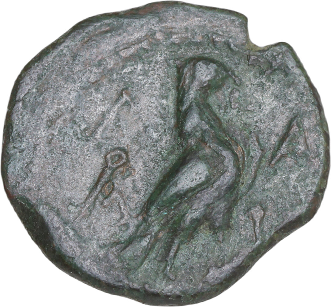 Rovescio moneta