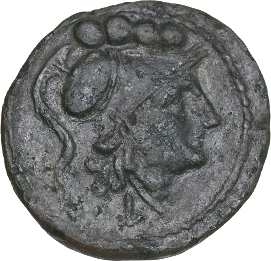Dritto moneta