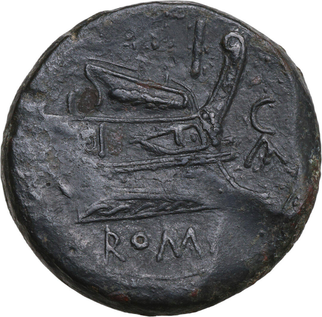 Rovescio moneta