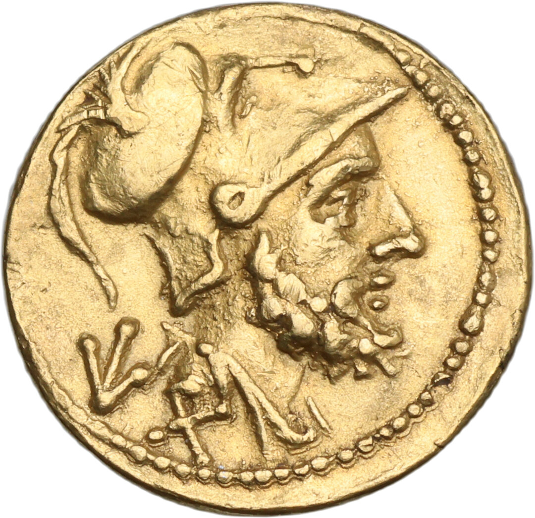 Dritto moneta