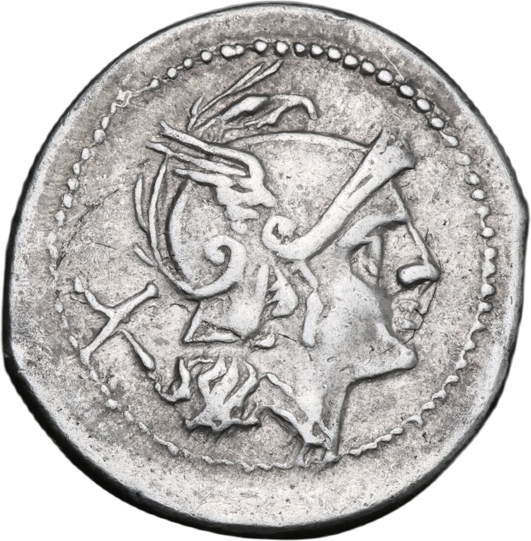Dritto moneta