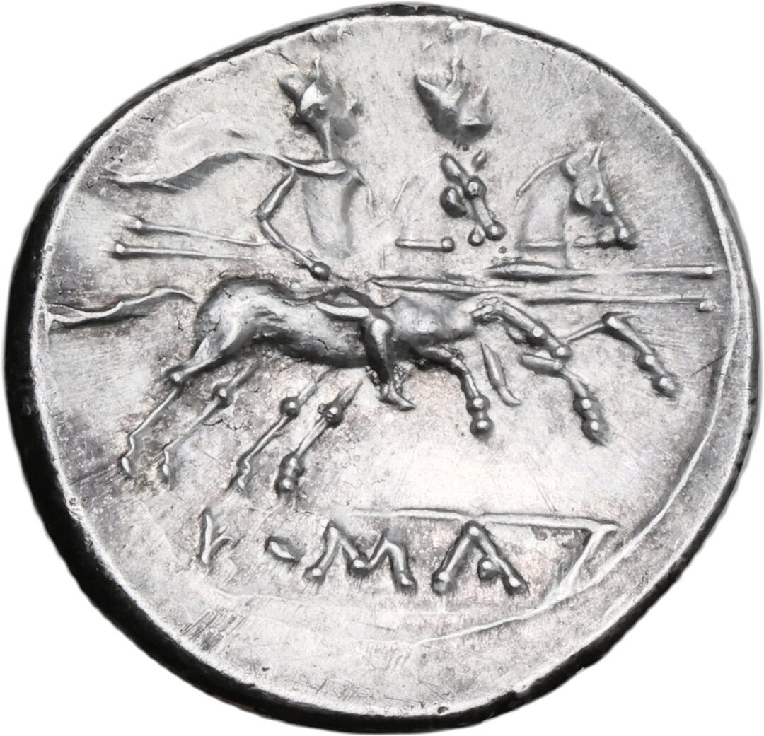 Rovescio moneta