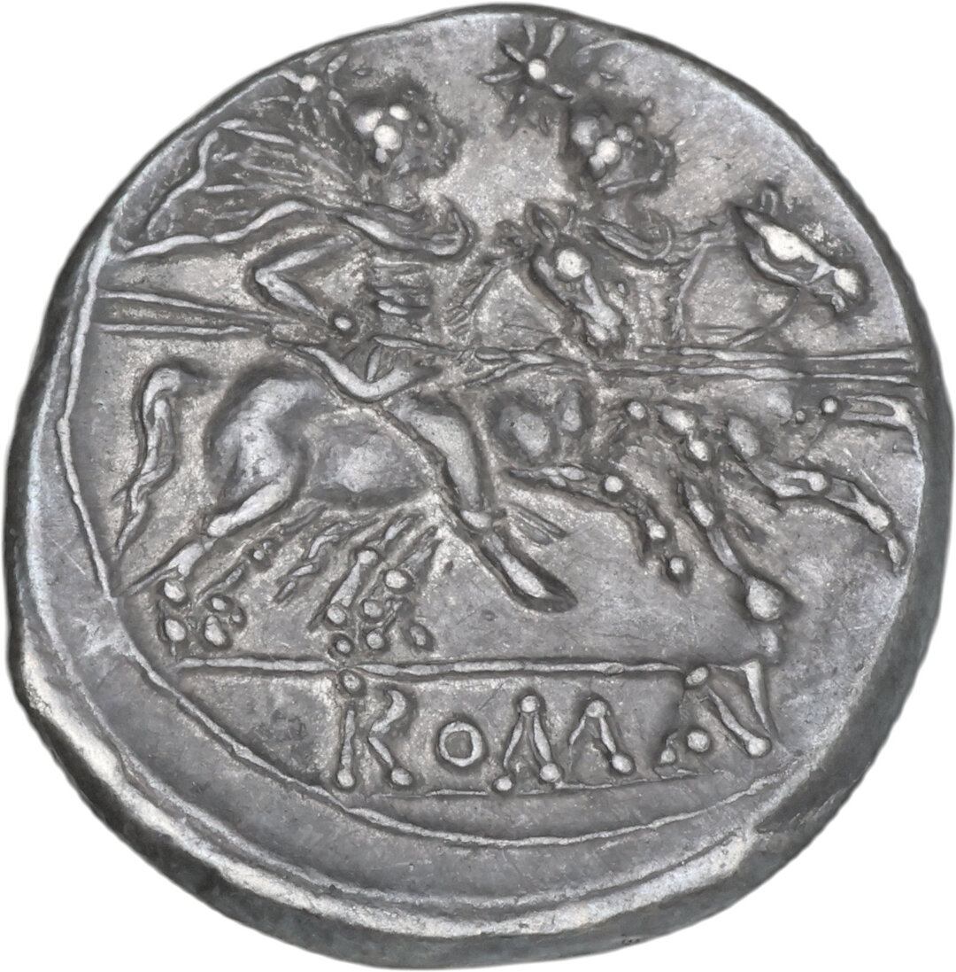 Rovescio moneta