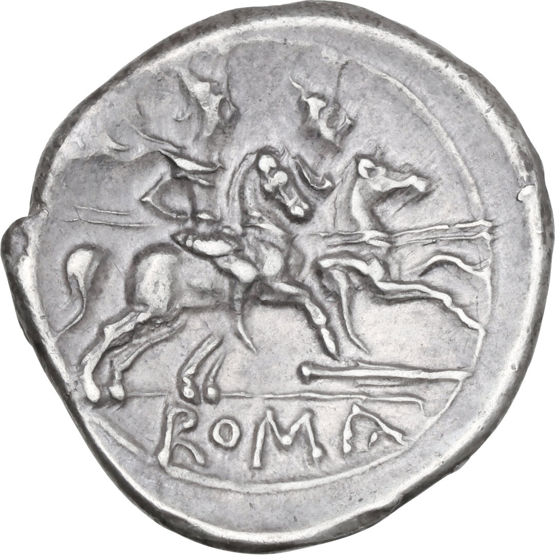 Rovescio moneta