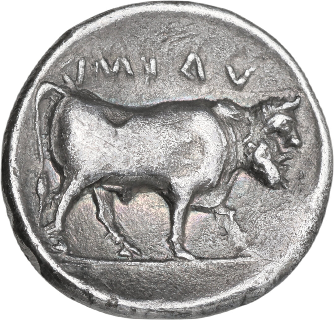 Rovescio moneta