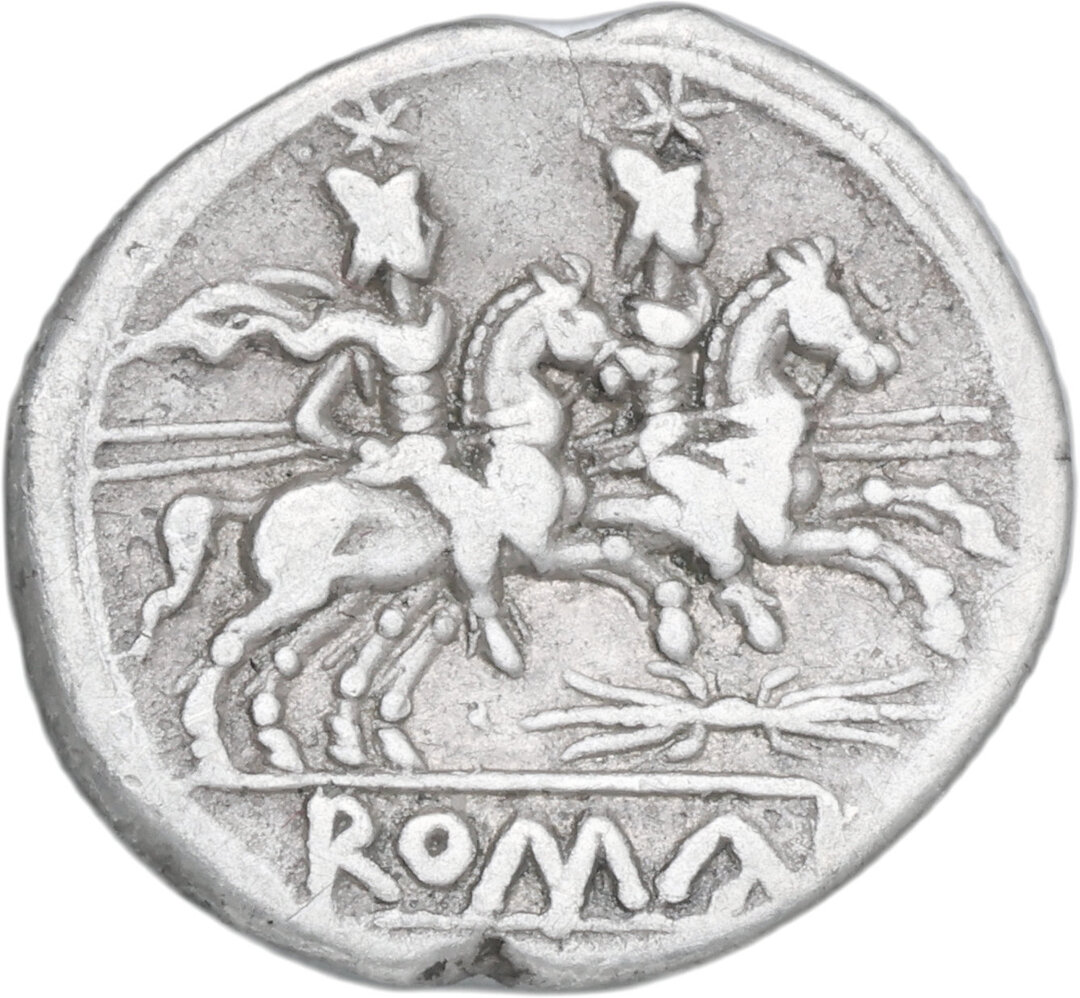 Rovescio moneta