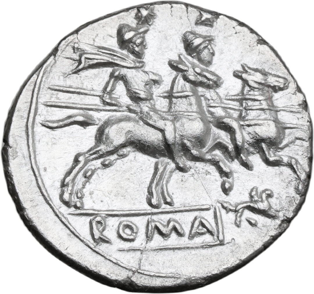 Rovescio moneta