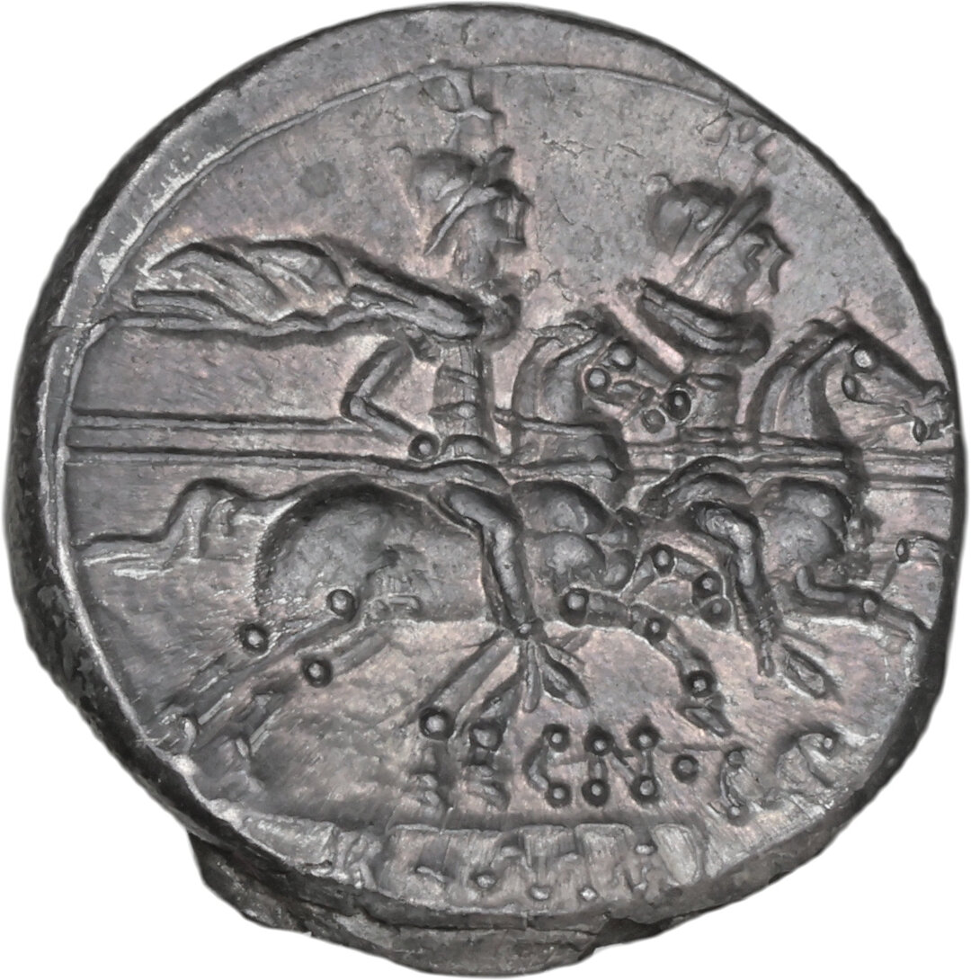Rovescio moneta