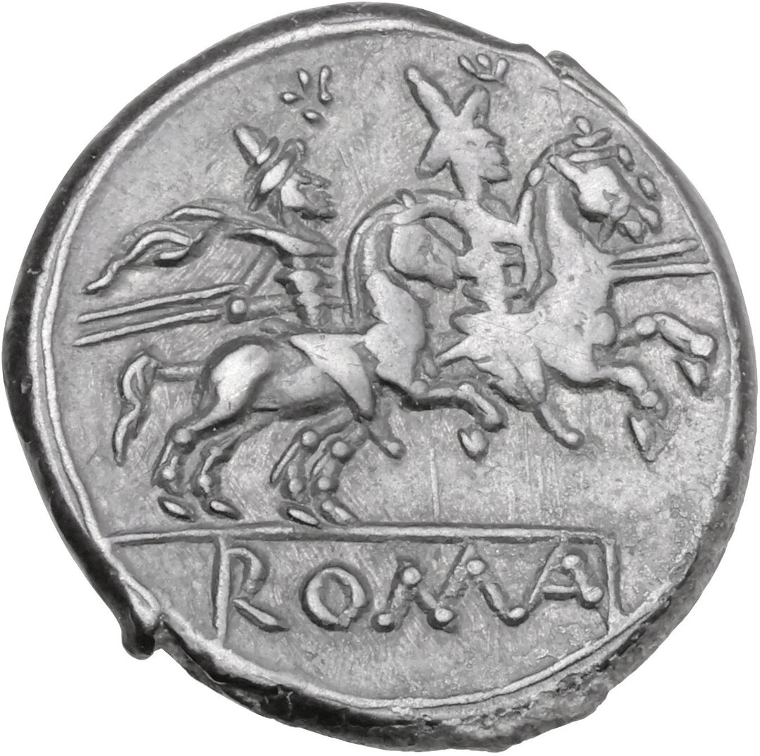 Rovescio moneta