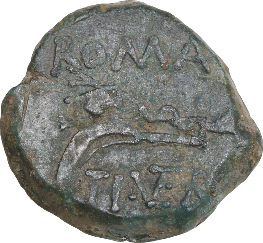 Rovescio moneta
