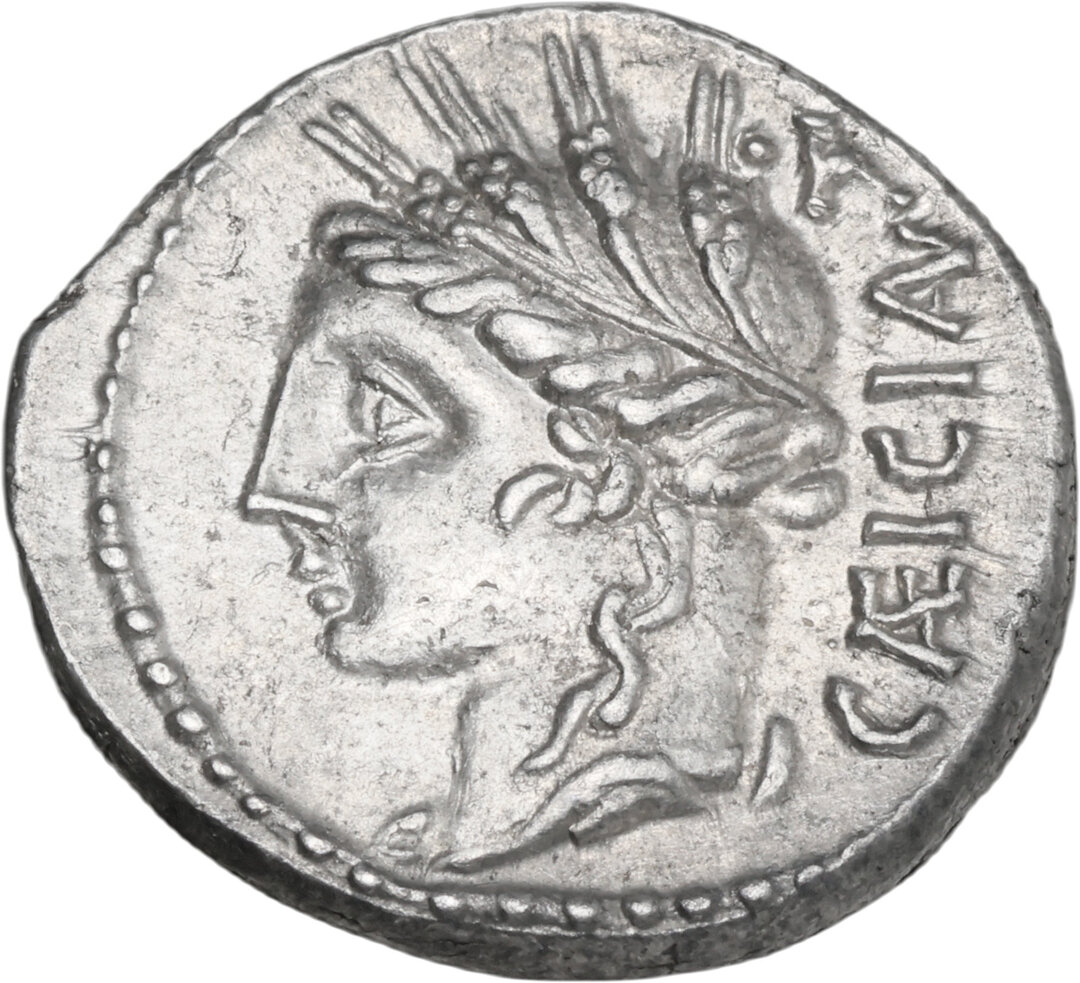 Dritto moneta
