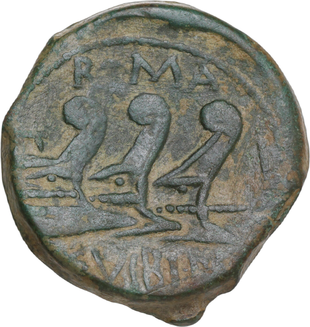 Rovescio moneta