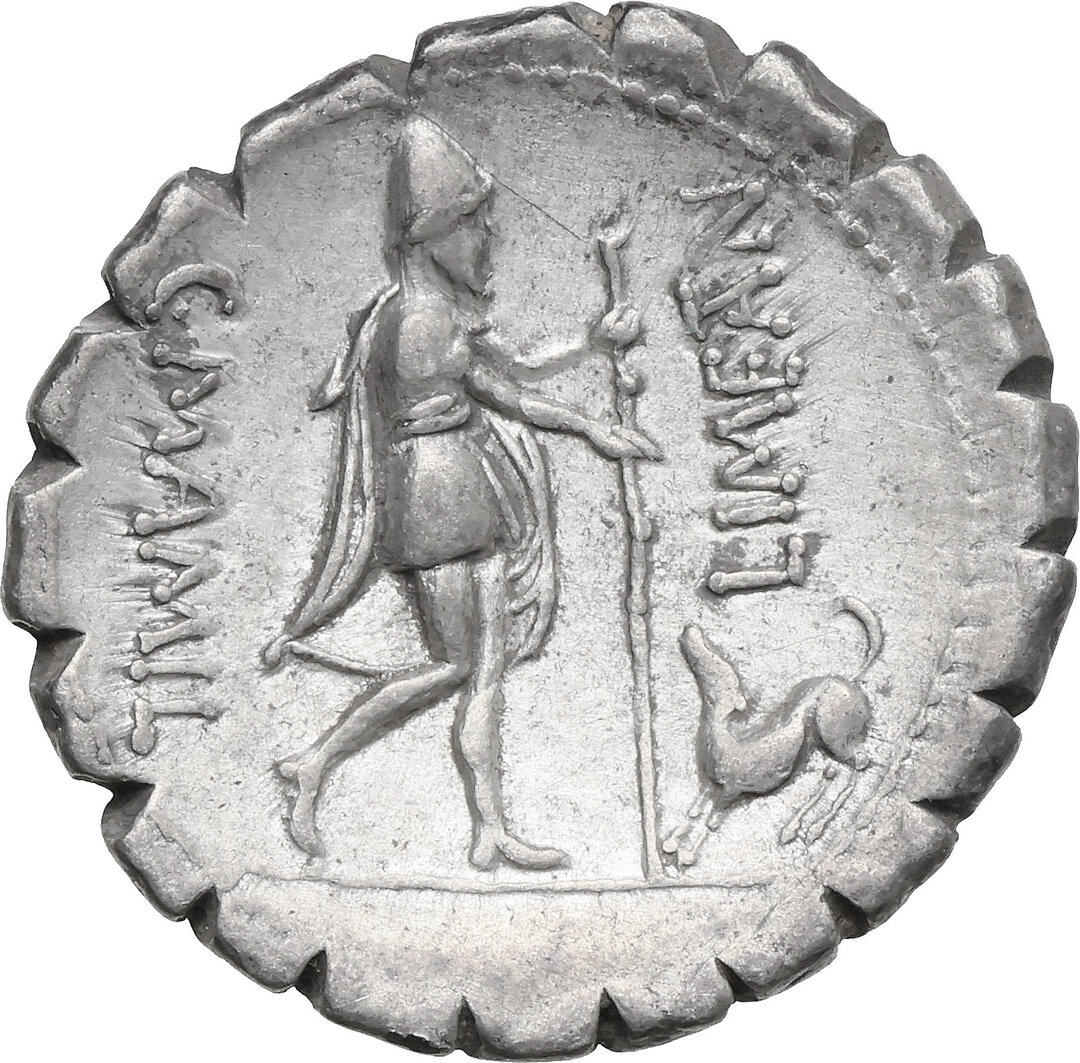 Rovescio moneta