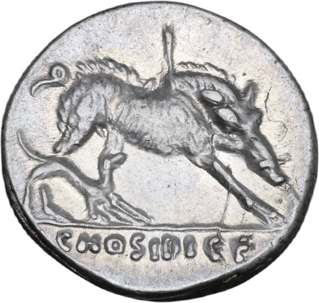 Rovescio moneta