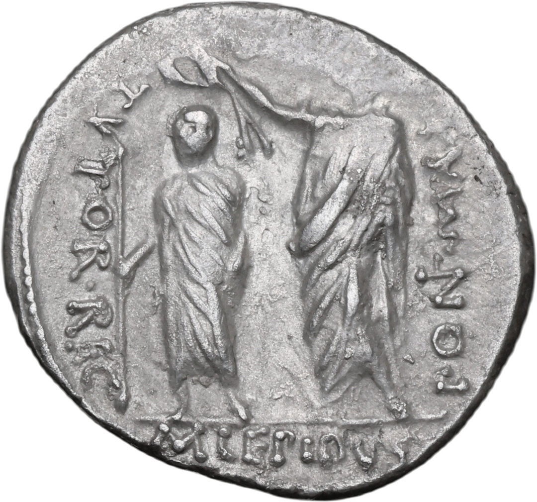 Rovescio moneta