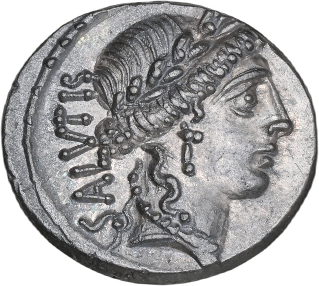 Dritto moneta