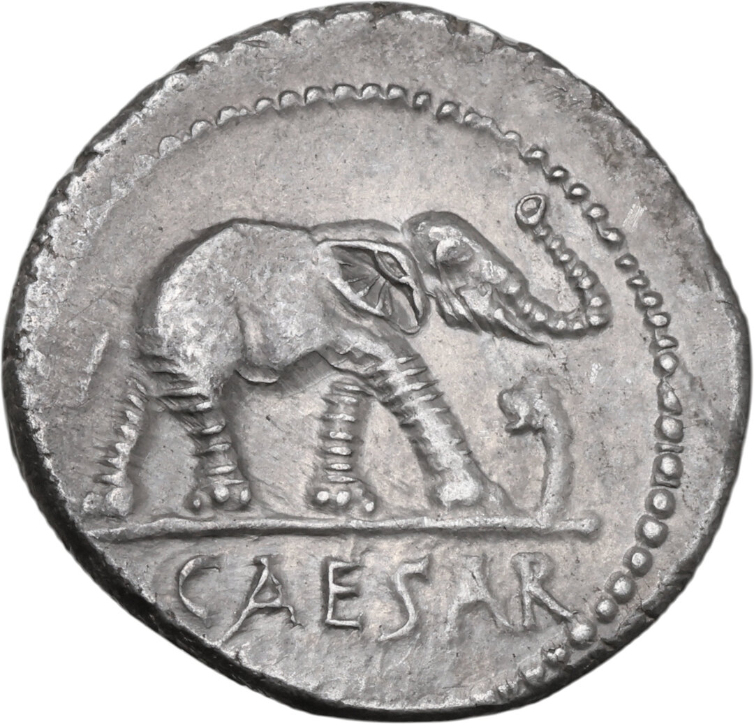 Dritto moneta