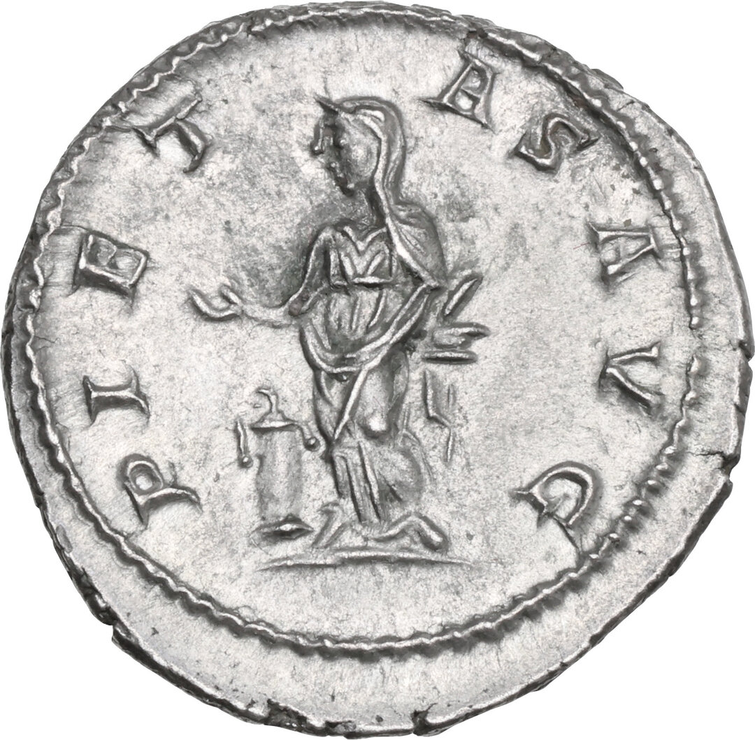 Rovescio moneta