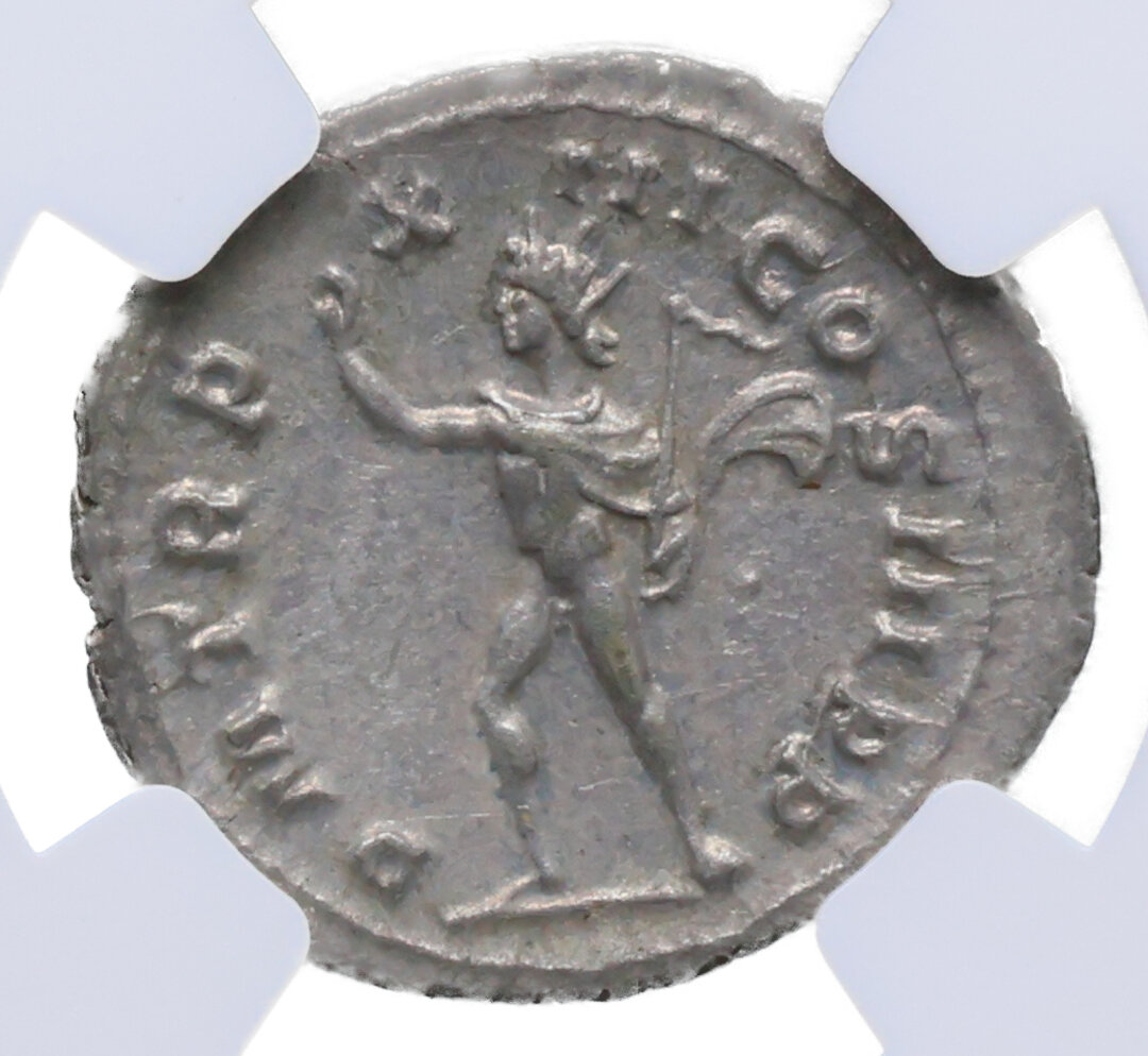 Rovescio moneta