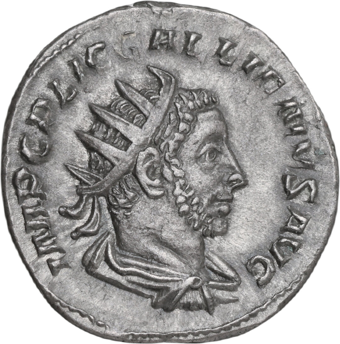 Dritto moneta