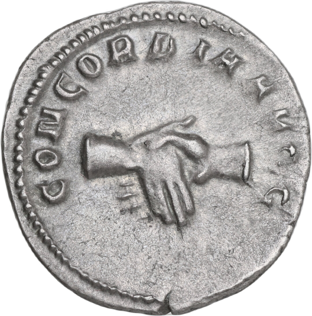 Rovescio moneta
