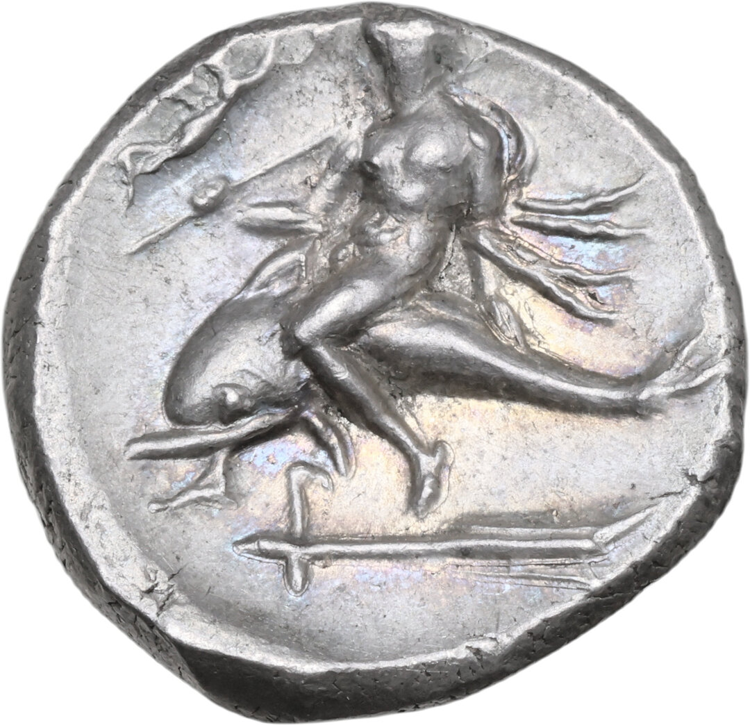 Rovescio moneta