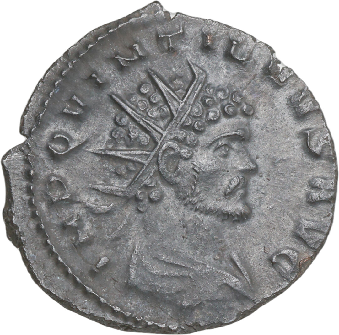 Dritto moneta