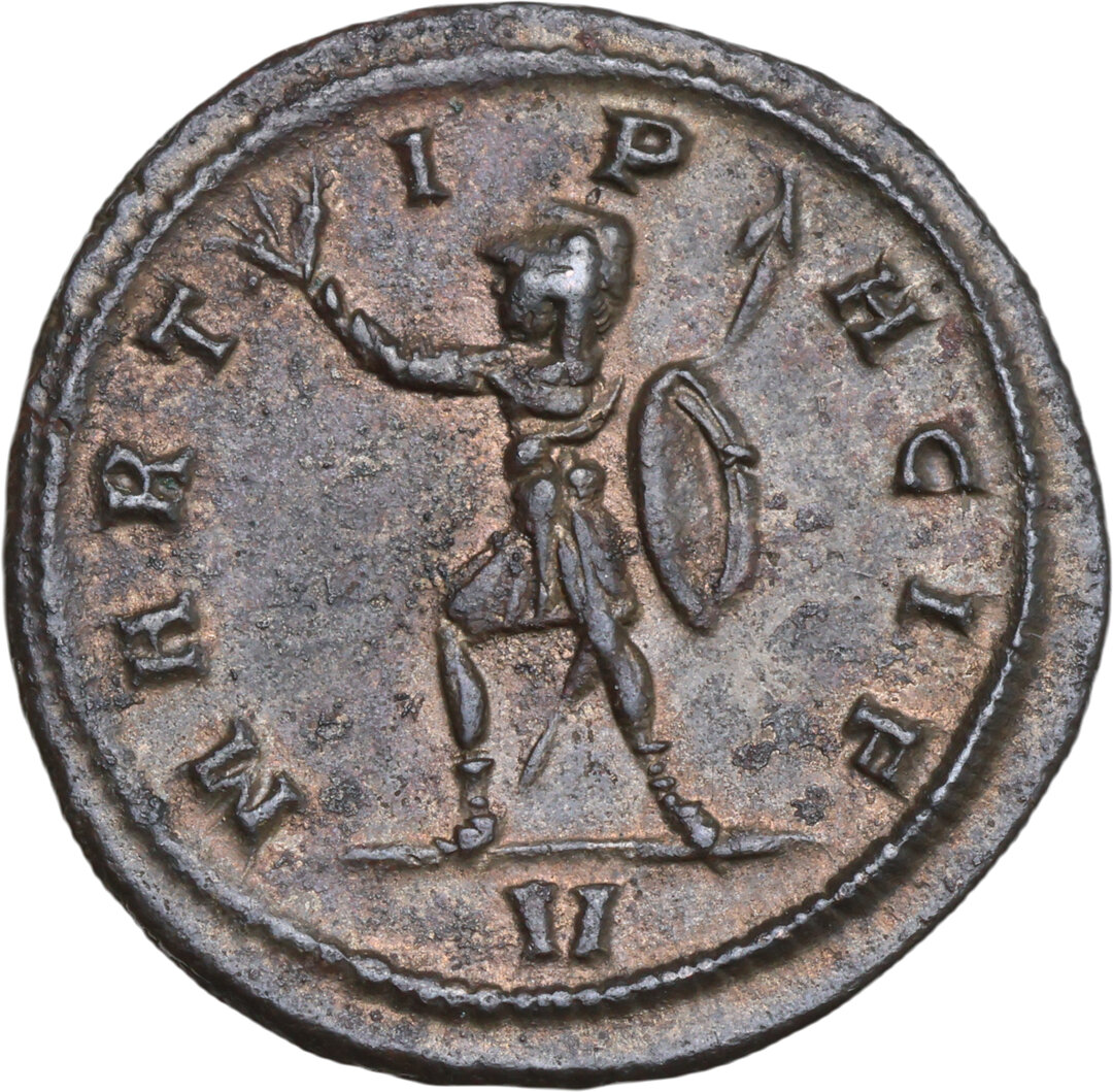 Rovescio moneta