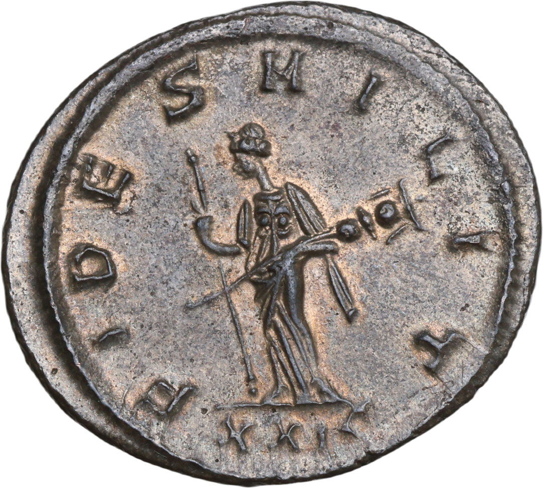 Rovescio moneta