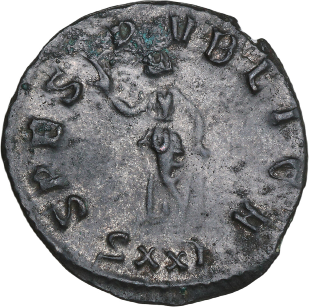 Rovescio moneta