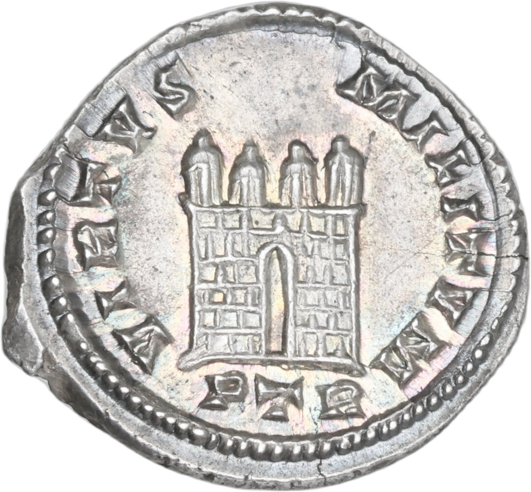 Rovescio moneta