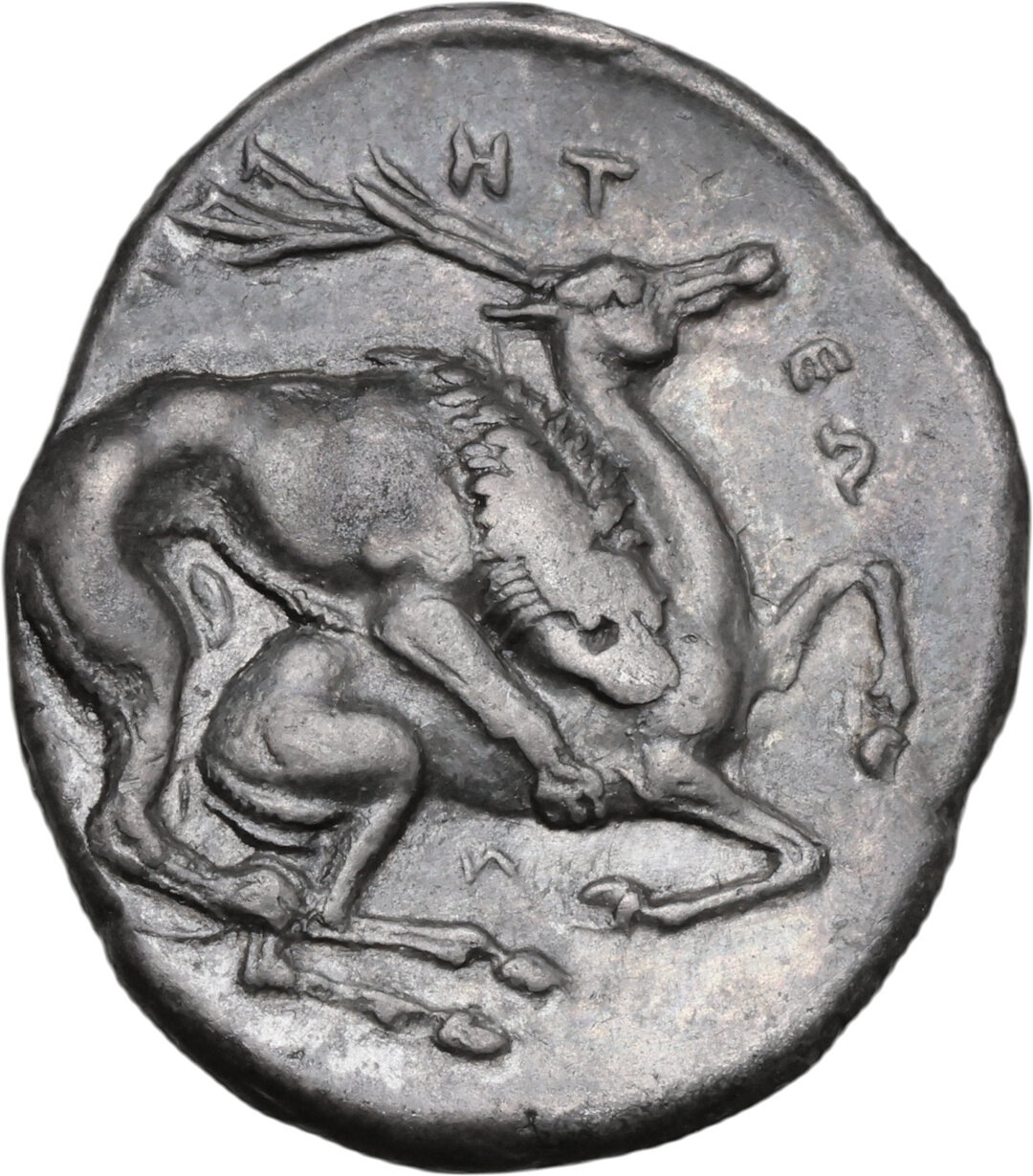 Rovescio moneta