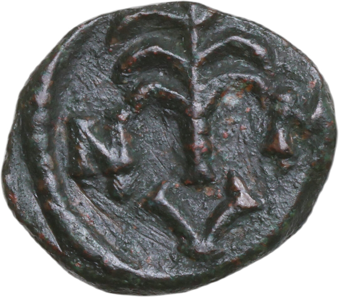 Rovescio moneta