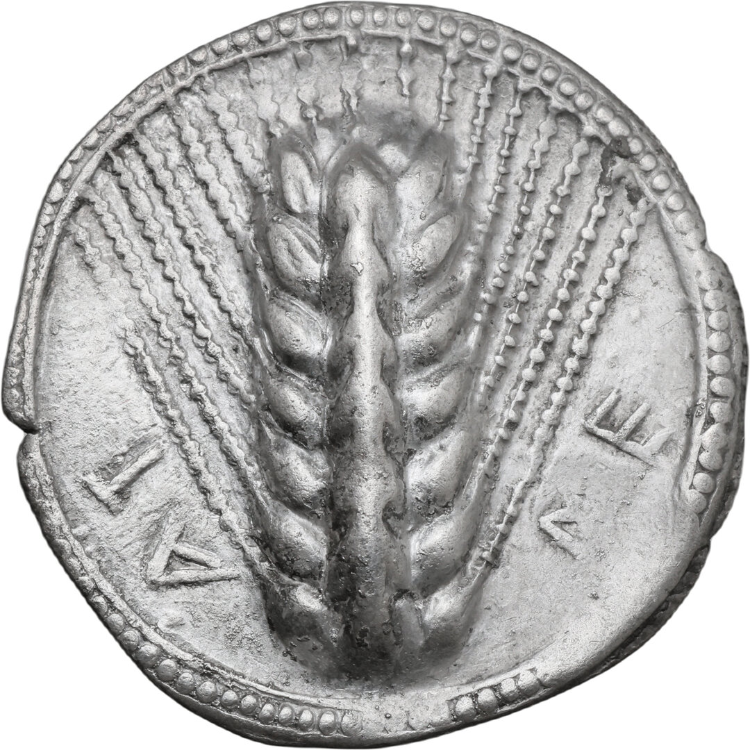Dritto moneta