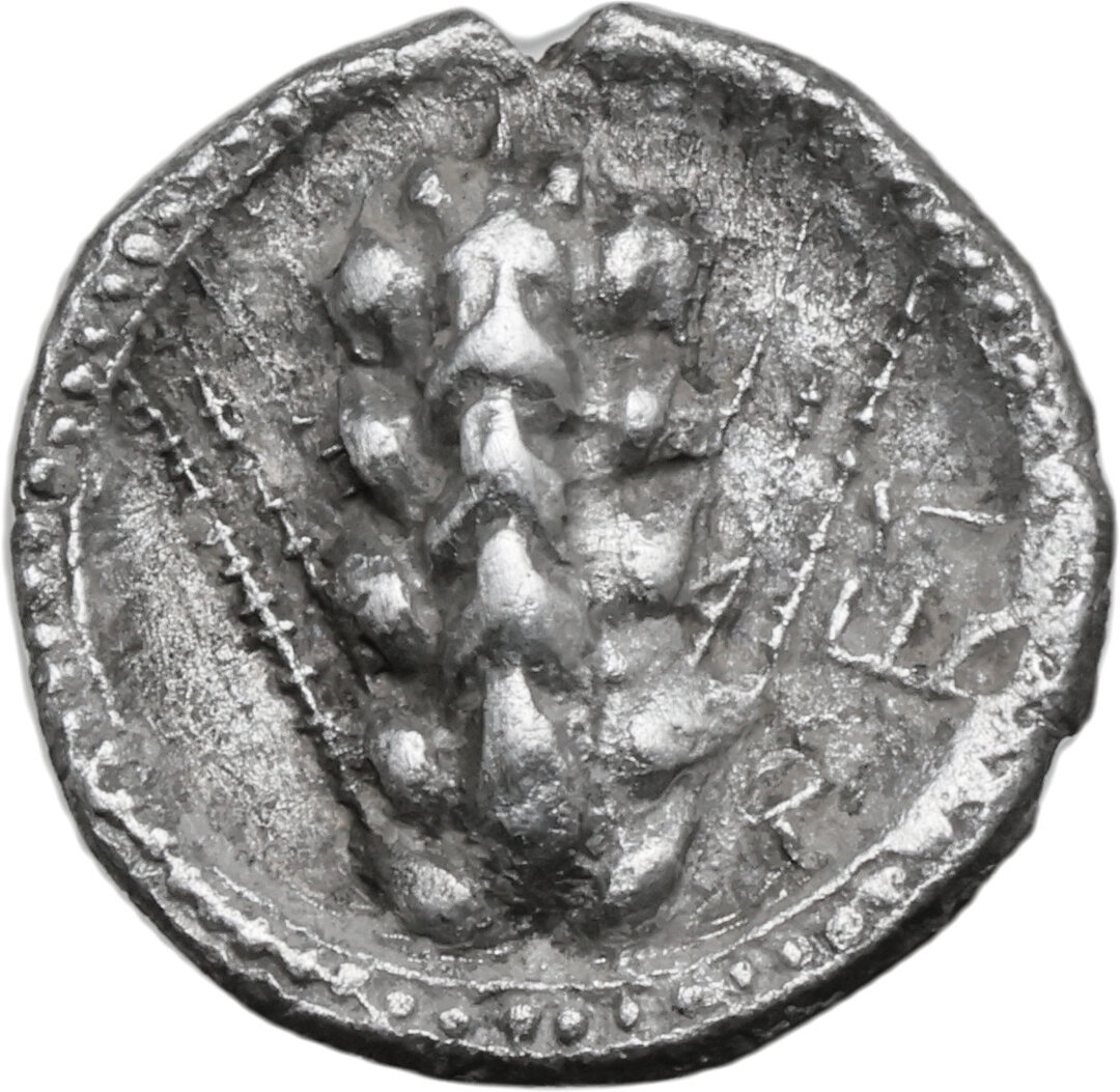 Dritto moneta