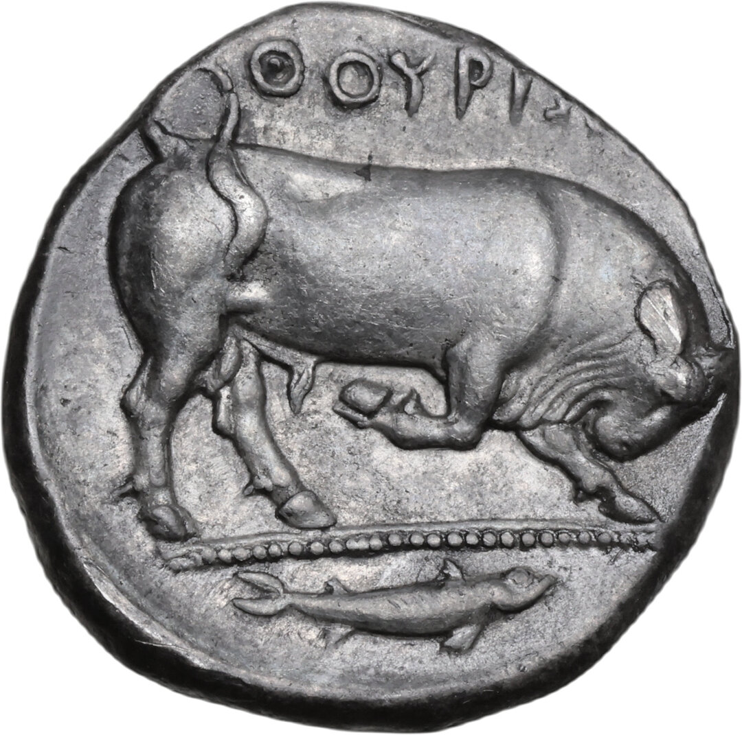 Rovescio moneta