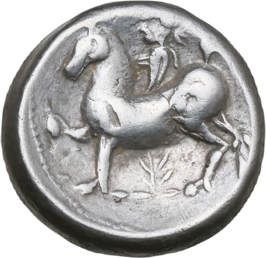 Rovescio moneta