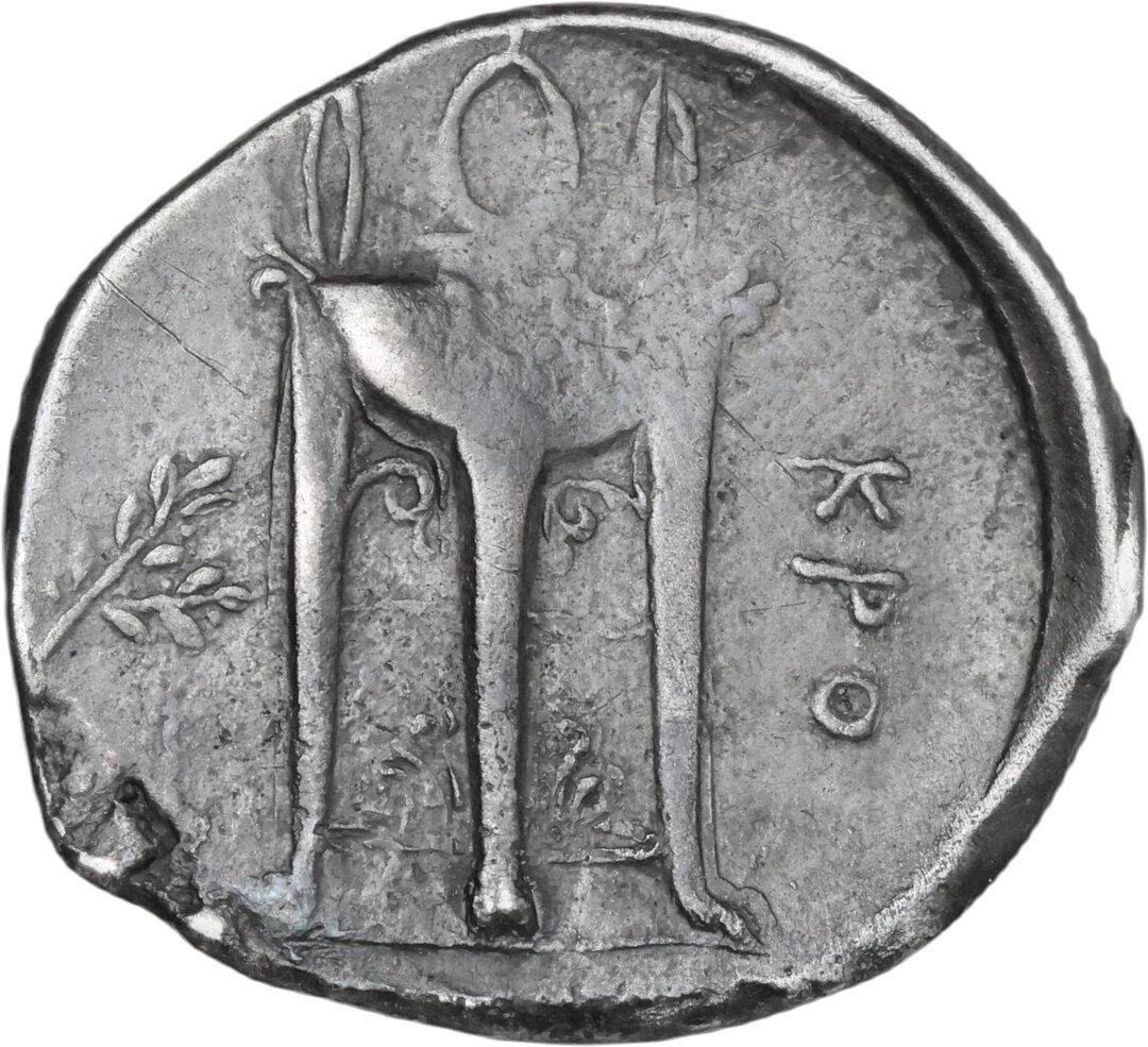Rovescio moneta