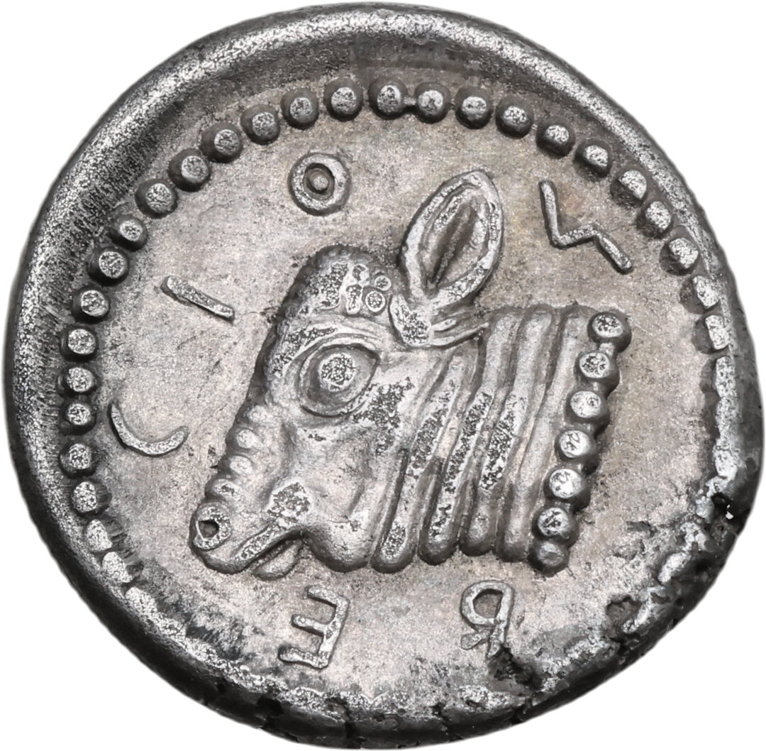Rovescio moneta