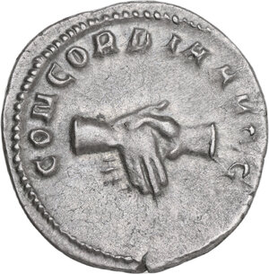 Immagine rovescio