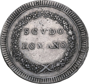 Immagine rovescio